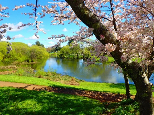Blakes Manor Self Contained Heritage Accommodation image 6