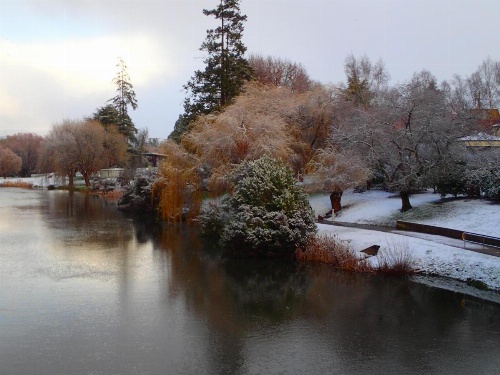 Blakes Manor Self Contained Heritage Accommodation image 9