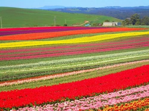 Blakes Manor Self Contained Heritage Accommodation image 10